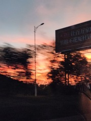 1000021651