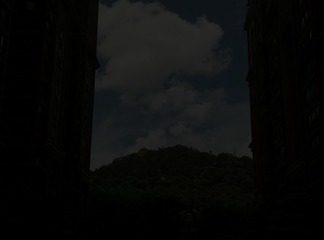 1067169