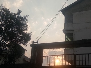 1180660