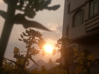 1180664