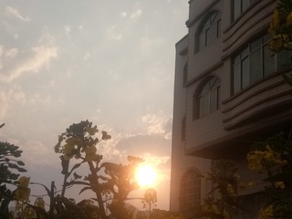 1180663