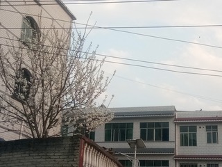1180681