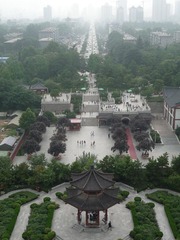 演化与渐进.JPG