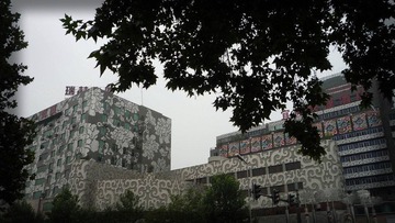 美丽的墙绘 .JPG