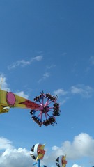 2231