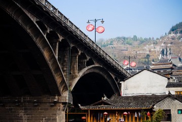 IMGP8172.jpg