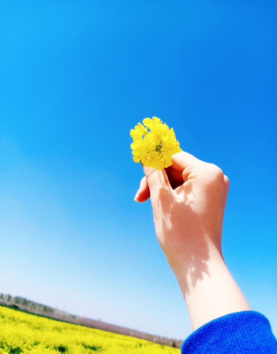 愿一切美好都如期而至