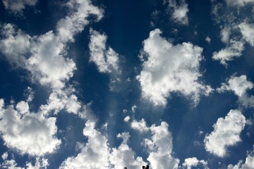 DP2M0612