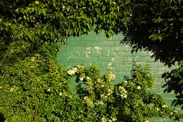 DP2M0619