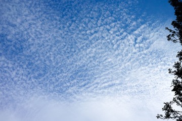 DP2M0634