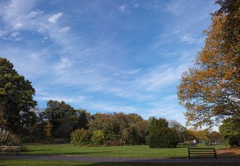 Untitled_Panorama10