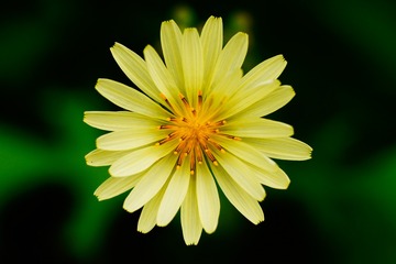 1099634