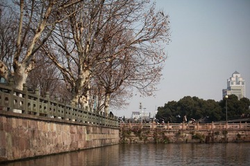 IMG_2091.JPG