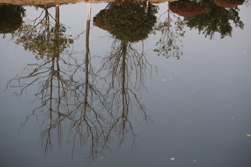 IMG_2131.JPG