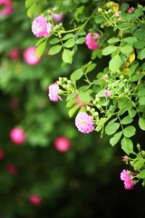 IMG_3123--.jpg