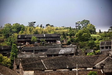 IMG_3394--.jpg