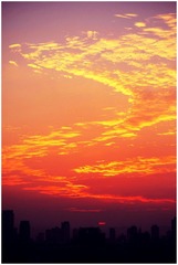 IMG_5702--.jpg