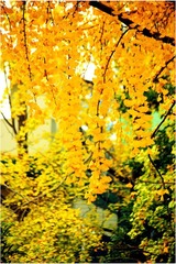 IMG_6255-- 副本.jpg