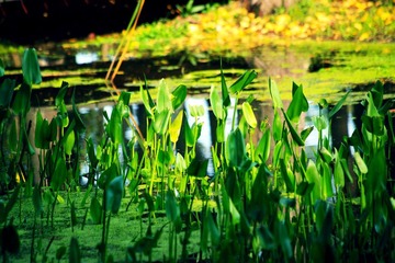 IMG_6299--.jpg