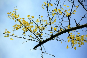 IMG_6264--.jpg