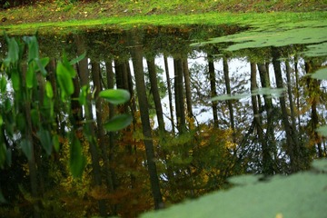 IMG_6296--.jpg