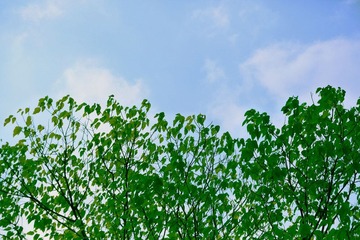 IMG_6244--.jpg