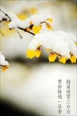 IMG_6352--.jpg