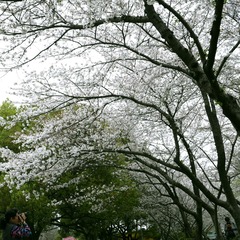 DSCF0371-.jpg