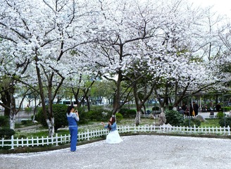 DSCF0307-.jpg
