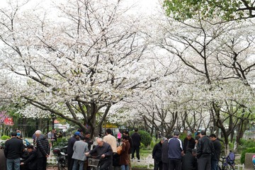 DSCF0410-.jpg