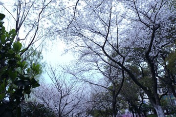DSCF0343-.jpg