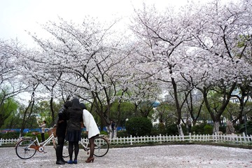 DSCF0323--.jpg