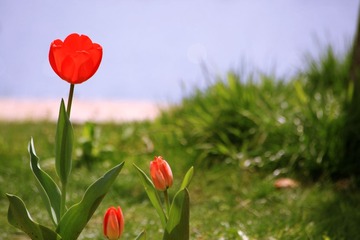 IMG_7082-.jpg