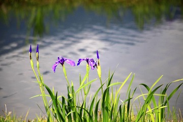 IMG_7406--.jpg