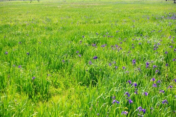 IMG_7339--.jpg