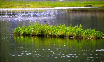 IMG_7392--.jpg