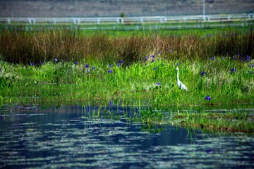 IMG_7398--.jpg