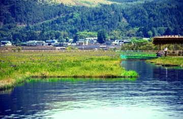 IMG_7405--.jpg