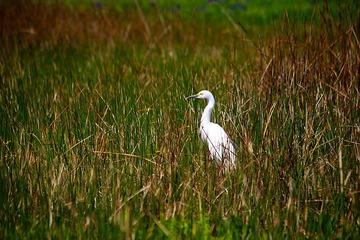 IMG_7386--.jpg