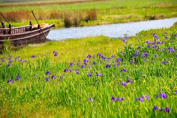 IMG_7349--.jpg