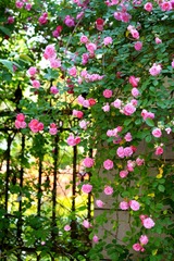 IMG_7723--.jpg