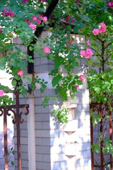 IMG_7748--.jpg