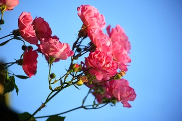 IMG_7758--.jpg