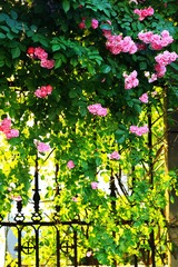 IMG_7810--.jpg