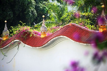 IMG_7495--.jpg