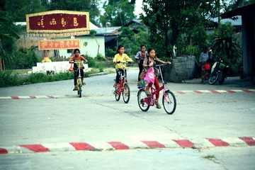 IMG_7445--.jpg