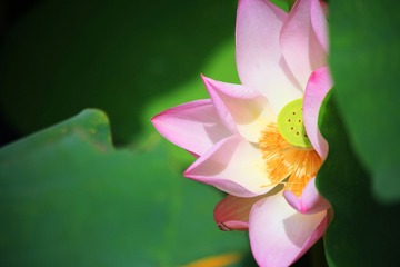IMG_8186--.jpg