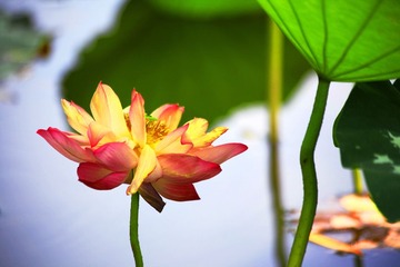 IMG_8181--.jpg