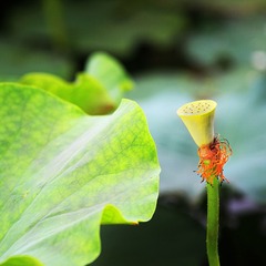 IMG_7838.jpg
