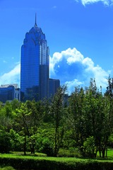 IMG_8548--